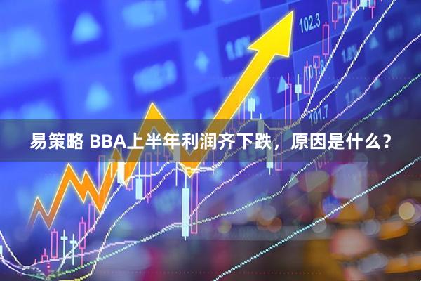 易策略 BBA上半年利润齐下跌，原因是什么？